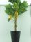 Растение декор. лимонное дерево в горшке 15*9,5см 318000510 Вид2