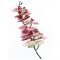 Цветок декор. орхидея 9*100см TIAG7528 Вид1