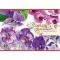 Альбом д/рисования 40л "Фиолетовые цветы"  С1184-10 Вид1