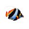 Игрушка мягкая Рыба Парусник, 37 см, артикул: 17YU37RD Вид1