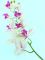 Цветок декор. орхидея 95см SASP8153 Вид1