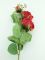 Цветок декор. роза 77см 19033-01670 Вид2