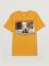 FAMILY COLORS футболка мужская 176-96(48) желтый FWSM 60062 Вид1