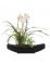 Растение декор. в ладье орхидея в черной ладье цв.белый 28*7*33,5см Вид1