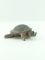 Подвесная декорация, настенная "черепаха", разм. 9x8.4x3.8cm, 252120000 Вид2