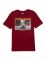 FAMILY COLORS футболка мужская FWSM 60062 коричнево-бордовый р.176-96/48 Вид1