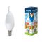 Лампа UNIEL LED-CW35-6W/WW/E14/CL PLS02WH Вид1