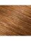 Garnier Color Shine краска для волос, тон 6.23 Лесной орех Вид2