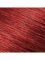 Garnier Color Shine краска для волос, тон 6.60 Дикая Клюква Вид2