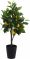 Растение декор. лимонное дерево в горшке 15*9,5см 318000510 Вид1