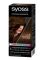 Syoss Стойкая крем-краска для волос Color, 4-8 Каштановый шоколадный, 115 мл Вид2