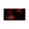 Syoss Оттеночный бальзам, Рубиновый, для волос от светло до тёмно-каштановых или красных оттенков, временное окрашивание, 150 мл Вид8