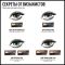 Max Factor тени для век и бровей Smoke eye drama kit 2в1, тон 02, Lavish onyx Вид2