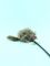 Игрушка Мышка для животных на палочке l=46см, артикул: SASP8208 Вид1