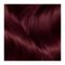 Garnier стойкая питательная крем-краска для волос Color Naturals, тон 4.62, Спелая вишня, 110 мл Вид3