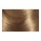 Excellence краска для волос, тон 8,1, цвет: светло-русый пепельный Вид4