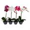 Растение декор. орхидея в горшке 15*38см S19-024 Вид1