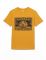 FAMILY COLORS футболка мужская FWMM 60069 желтый р.176-100/50 Вид1