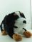 Игрушка мягкая Собака Берн, 38 см, артикул: RS190172 Вид2