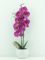 Растение декор. орхидея в горшке 11*8*39см 317353840 Вид1