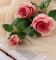 Цветы искусственные роза роскошь розовый 9*63см 9222744 Вид1