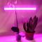 Ultraflash Светодиодный светильник для роста растений LWL-2014-01CL, 5 Вт Вид1
