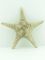 Статуэтка ракушка/морская звезда цв.золото 20,5*19,5*6,5см 252123170 Вид2