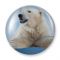 ЕНИСЕЙСКАЯ СИБИРЬ значки закатные дизайн белый медведь 5,6см Вид1