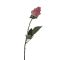 Цветок декор. роза 44см 19033-01616 Вид1