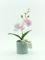 Растение декор. орхидея в горшке 8,5*24см RA19126-111 Вид1