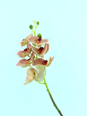 Цветок декор. орхидея 70см STMA8011