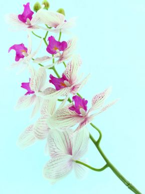 Цветок декор. орхидея 95см SASP8153
