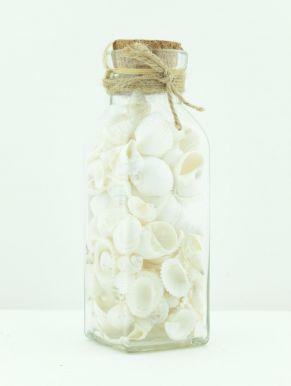 Ракушки морские лакированные, упак. в стеклянную бутылку с пробкой D22300500