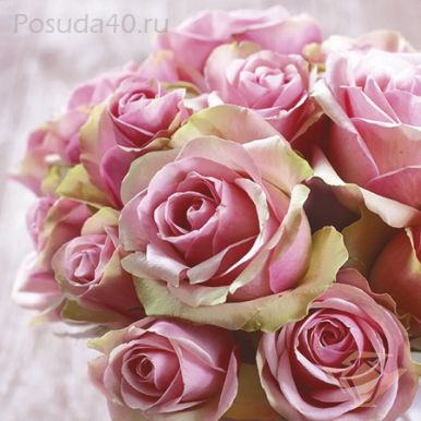 PAW салфетки ланч столовые элегантные розы 3сл. 33*33см 20шт TL329000