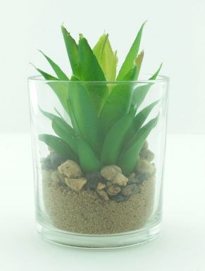 Растение декор. в стеклянном горшке 8,8*8,8*13см HZ1300130