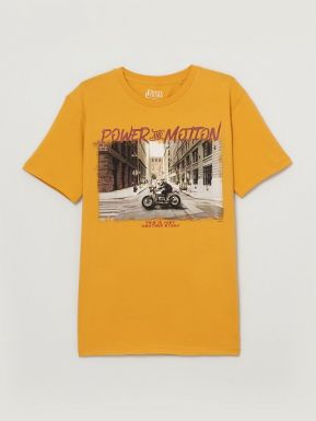 FAMILY COLORS футболка мужская FWSM 60062 желтый р.176-100/50