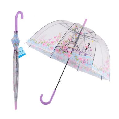 Зонт полуавтомат дизайн весна в париже FX24-37