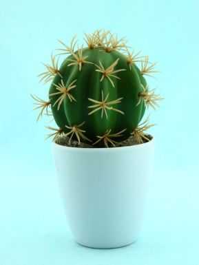 Растение декор. кактус в кашпо 7,5см SUSP8152
