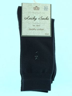 Брест носки мужские Lucky socks 0084-Нмг, цвет: серый, размер: 29