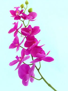 Цветок декор. орхидея 95см SASP8155