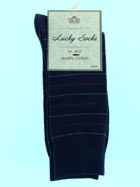 Lucky socks 0084-НМГ носки мужские (80/15/5) СИНИЙ, 29