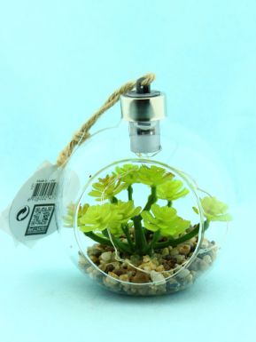 Растение декор. подвесное шар с кактусом внутри с подсветкой led 10*11см HZ1007921