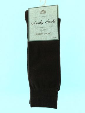 Брест носки мужские Lucky socks 0091-Нмг, цвет: коричневый, размер: 29