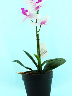 Растение декор. орхидея в кашпо 33см SUSP8153