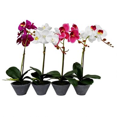 Растение декор. орхидея в горшке 15*38см S19-024