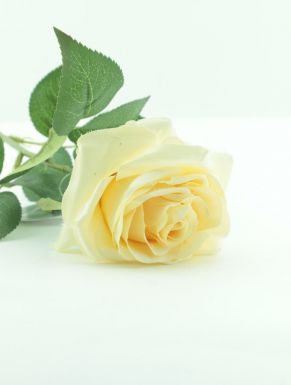 Цветок декор. розы 60см 318800020