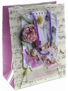 Пакет подарочный дизайн ноты и цветы 26см 44198