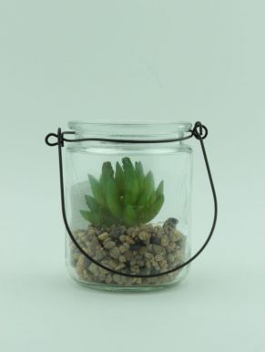 Растение декор. в стеклянном горшке кактус 8*9,7см HZ1905220