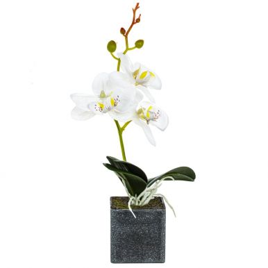Композиция цветочная орхидея 11*13*28см 772957