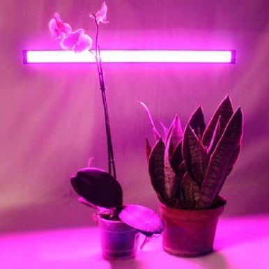 Ultraflash Светодиодный светильник для роста растений LWL-2014-01CL, 5 Вт